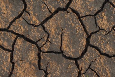 Yalan arazi ısı pişmiş. Kadar kuru göl alt.