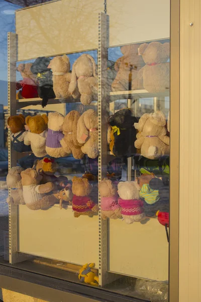 Showcase with toys. Teddy bears on the shelf. Shop for children.