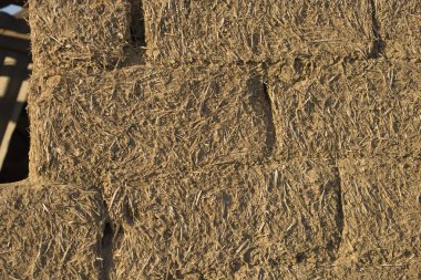 Duvar Adobe. Evin kil duvarları.