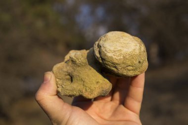 Adamın elini garip bir taş.