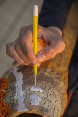 Sanatçı el. Keskin bir alet ile iş. Kağıttan yapılmış dekoratif heykel yürütülmesi.