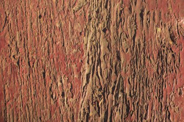 Ahşap doku. Eski yönetim kurulu. Soyulması boya.