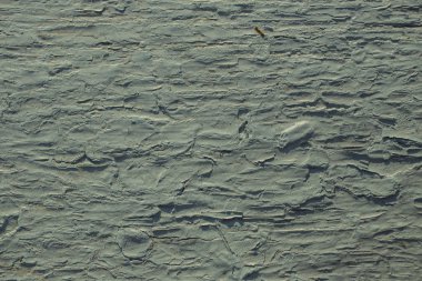 Ahşap doku. Eski yönetim kurulu. Soyulması boya.