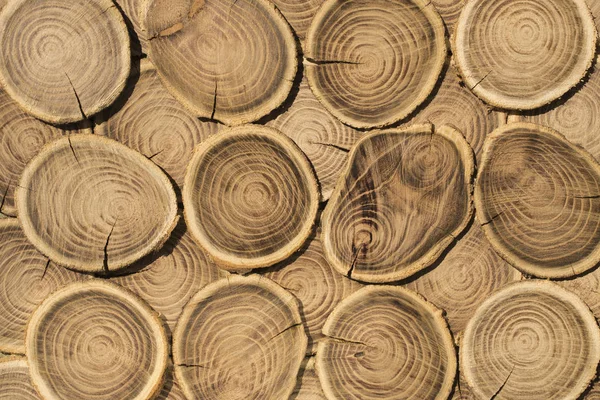 Cross section of the tree. The texture of the wood in the stump. Old board.