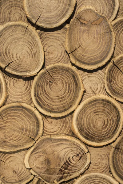 Secção Transversal Árvore Textura Madeira Toco Quadro Antigo — Fotografia de Stock