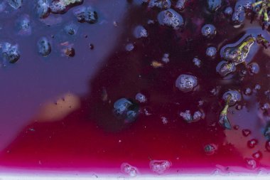 Şarap malzemesi, üzüm suyu - mutlaka, stum, maun. Moldova 'da şarap üretim teknolojisi. Şarap yapma geleneği. Eski üzüm işleme geleneği..