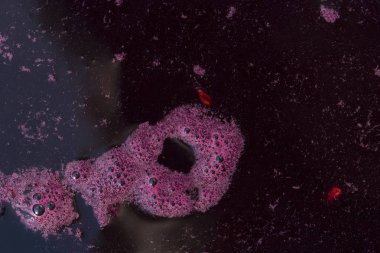 Şarap malzemesi, üzüm suyu - mutlaka, stum, maun. Şarap üretim teknolojisi. Şarap yapma geleneği. Eski üzüm işleme geleneği. Moldova 'da şarap üretimi.