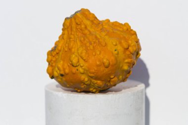 Dekoratif Balkabağı Karışık Tohumlar GON GDO 'suz beyaz arka planda. Cadılar Bayramı.