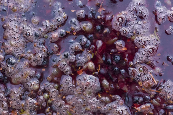 Matériel Vin Jus Raisin Moût Prune Maun Technologie Production Vin — Photo