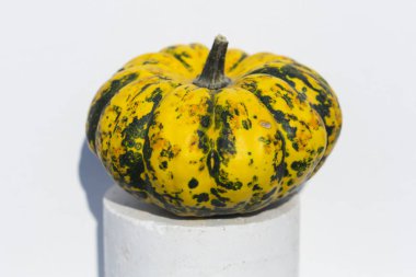 Dekoratif Balkabağı Karışık Tohumlar GON GDO 'suz beyaz arka planda. Cadılar Bayramı.