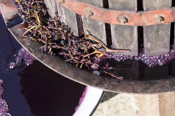 Виноробство Джус Єднується Спеціальним Обладнанням Технологія Виробництва Вина Молдові Стародавня — стокове фото