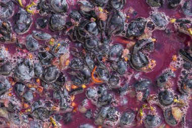 Şarap malzemesi, üzüm suyu - mutlaka, stum, maun. Moldova 'da şarap üretim teknolojisi. Şarap yapma geleneği. Eski üzüm işleme geleneği..