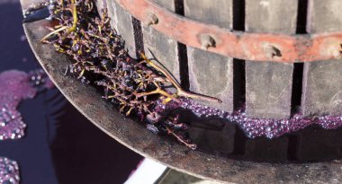 Şarap yapımı. Moldova 'da şarap üretim teknolojisi. Üzüm işlemenin eski halk geleneği. Sıkıştırıcı şarabı bastırmak için kullanılır..