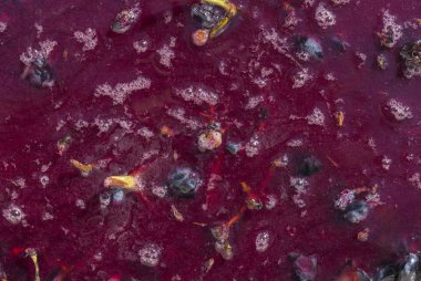 Şarap malzemesi, üzüm suyu - mutlaka, stum, maun. Moldova 'da şarap üretim teknolojisi. Şarap yapma geleneği. Eski üzüm işleme geleneği..