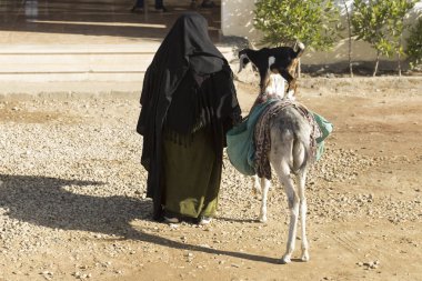 Bedevi hayatı. Yaşlı bir kadın turistleri eğlendirir. Eşeği ve küçük bir keçisi olan yaşlı bir nine..
