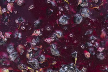 Şarap malzemesi, üzüm suyu - mutlaka, stum, maun. Moldova 'da şarap üretim teknolojisi. Şarap yapma geleneği. Eski üzüm işleme geleneği..