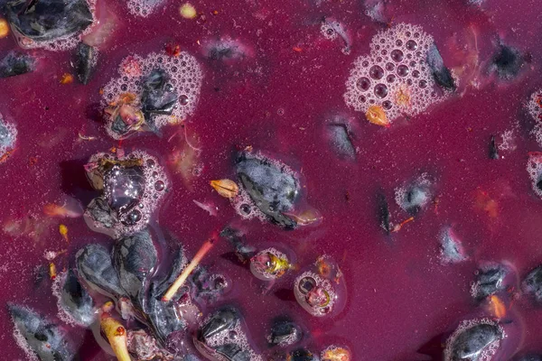 Şarap malzemesi, üzüm suyu - mutlaka, stum, maun. Moldova 'da şarap üretim teknolojisi. Şarap yapma geleneği. Eski üzüm işleme geleneği..