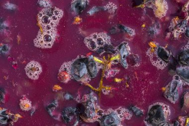 Şarap malzemesi, üzüm suyu - mutlaka, stum, maun. Moldova 'da şarap üretim teknolojisi. Şarap yapma geleneği. Eski üzüm işleme geleneği..