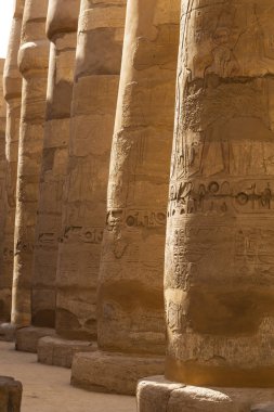 Karnak Tapınağı, Amun-Re kompleksi. Sütunlarda kabartmalı hiyeroglifler. Büyük Hypostyle Salonu. Luxor Valiliği, Mısır.