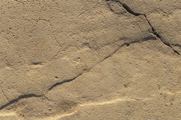 Concrete coating. Cracked stone background. Cement slab. Wall of the house.