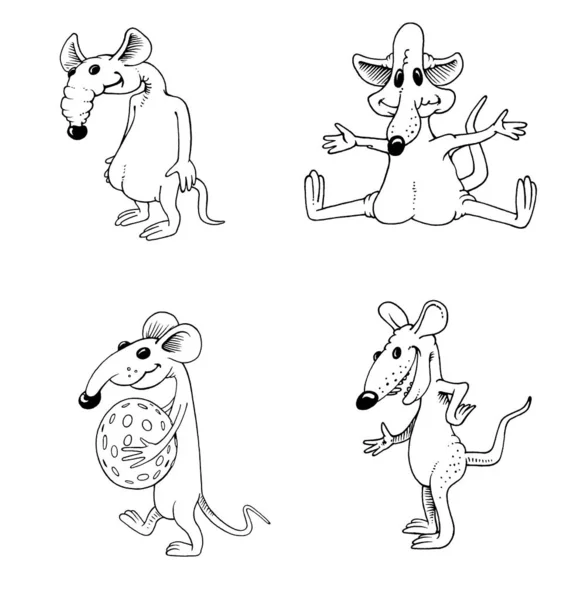Ratte Grafische Zeichnung Schwarzweiß Porträtbild Von Tieren Illustrationen Für Kinder — Stockfoto