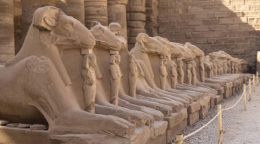 Koç başlı Sfenkslerin sokağı. Karnak Tapınağı. Luxor, Mısır.