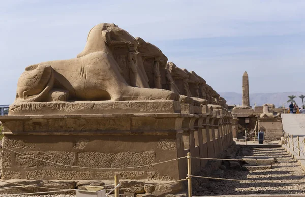 Callejón Las Esfinges Con Cabeza Carnero Templo Karnak Luxor Egipto — Foto de Stock