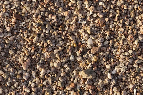 Kleine Kieselsteine Bilden Den Hintergrund Der Meeresküste Grober Mehrfarbiger Sand — Stockfoto