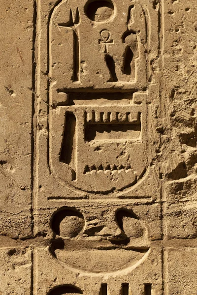 Karnak Tapınağı, Amun-Re kompleksi. Duvarlarda kabartmalı hiyeroglifler var. Luxor Valiliği, Mısır.