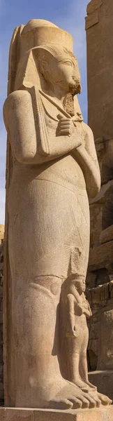 Egypt Luxor Karnak Temple Complex Amun Statues Ramses Nefertiti — Stok fotoğraf