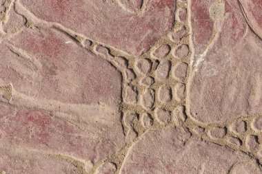 Bir deseni olan kaldırım taşları. Kırmızıya boyanmış beton bir levha. Dış dekorasyon için dekoratif öge.