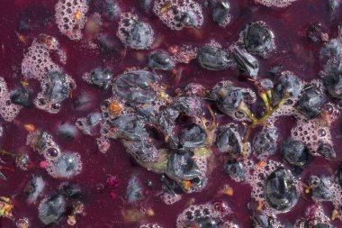 Şarap malzemesi, üzüm suyu - mutlaka, stum, maun. Moldova 'da şarap üretim teknolojisi. Şarap yapma geleneği. Eski üzüm işleme geleneği..