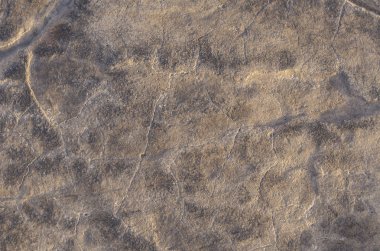 Beton kaplama. Çatlak taş arka plan. Çimento tabakası. Eski bir dinozorun benekli derisi..