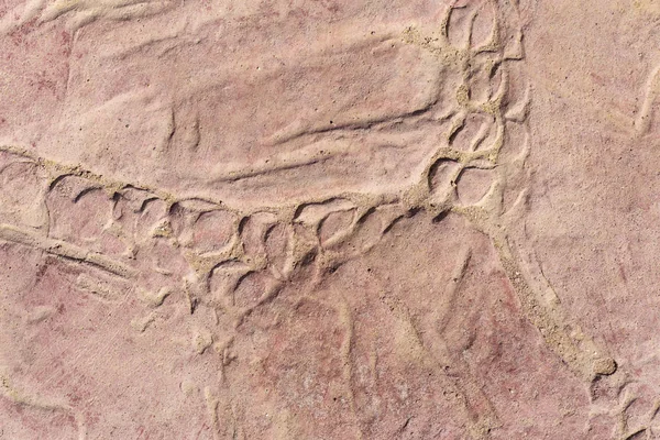 Tuiles Trottoir Avec Motif Une Dalle Béton Peinte Rouge Elément — Photo