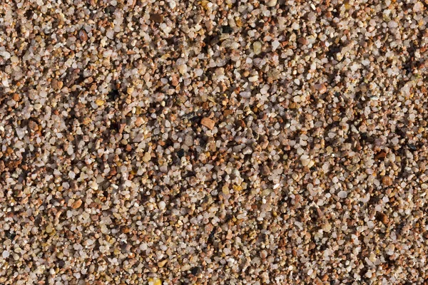 Небольшие Гальки Образуют Фон Морского Берега Грубый Многоцветный Песок — стоковое фото