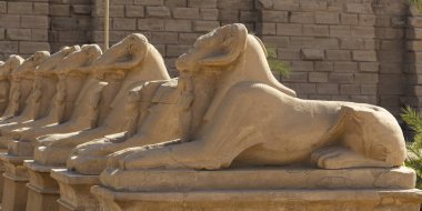 Koç başlı Sfenkslerin sokağı. Karnak Tapınağı. Luxor, Mısır.