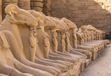 Koç başlı Sfenkslerin sokağı. Karnak Tapınağı, Amun-Re kompleksi. Luxor, Mısır.