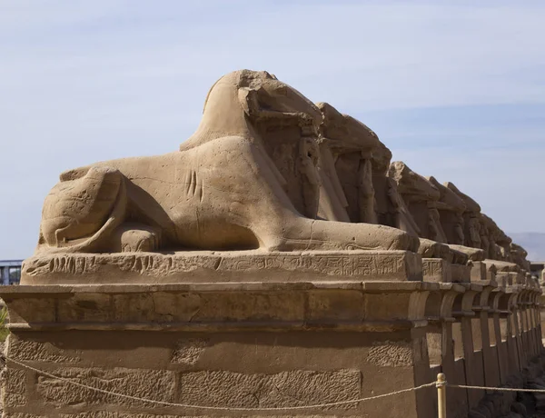 Beco Das Esfinges Cabeça Carneiro Templo Karnak Complexo Amon Luxor — Fotografia de Stock