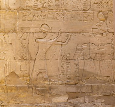 Luxor Valiliği, Mısır, Karnak Tapınağı, Amun-Re kompleksi. Sütunlarda ve duvarlarda kabartmalı hiyeroglifler. 