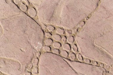 Bir deseni olan kaldırım taşları. Kırmızıya boyanmış beton bir levha. Dış dekorasyon için dekoratif öge.