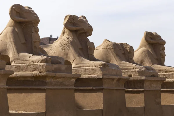 Alley of the ram-headed Sphinxes. Karnak Temple, complex of Amun-Re. Luxor, Egypt.