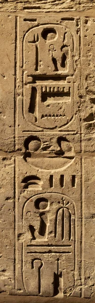Templo Karnak Complejo Amón Jeroglíficos Relieve Las Paredes Provincia Luxor — Foto de Stock