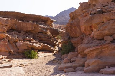 Renkli Kanyon, Sina yarımadasında bir kaya oluşumudur. Nuweiba, Mısır manzarası.