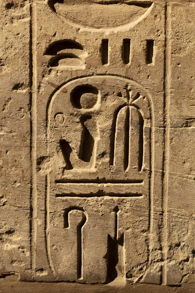 埃及卢克索省 Karnak Temple Amun Re建筑群 柱体和墙壁上的对称象形文字 — 图库照片