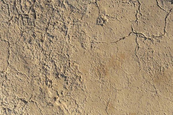 Concrete coating. Cracked stone background. Cement slab. Wall of the house.