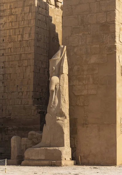 Luxor Karnak圣殿 Amun Re建筑群 Ramses Ii和Nefertiti的雕像 — 图库照片