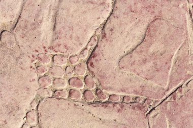 Bir deseni olan kaldırım taşları. Kırmızıya boyanmış beton bir levha. Dış dekorasyon için dekoratif öge.