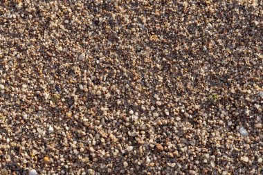 Deniz kıyısının arka planında küçük çakıl taşları oluşur. Kaba çok renkli kum.