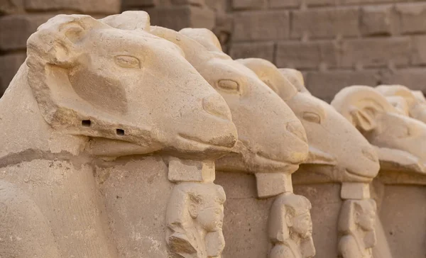 Alley Ram Headed Sphinxes Karnak Temple Complex Amun Luxor Egypt — Stock Photo, Image