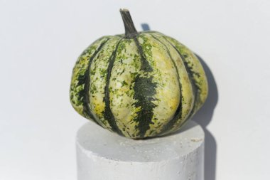 Dekoratif Balkabağı Karışık Tohumlar GON GDO 'suz beyaz arka planda. Cadılar Bayramı.